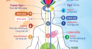 Hệ thống vi tế trong thiền định Sahaja Yoga